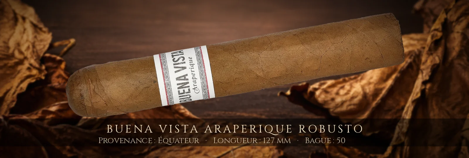 Buena Vista Araperique Robusto