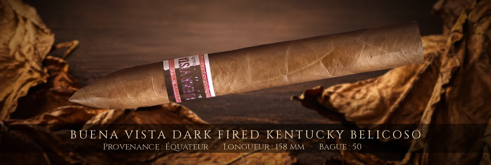 Buena Vista Dark Fired Kentucky Belicoso — Buena Vista — Équateur
