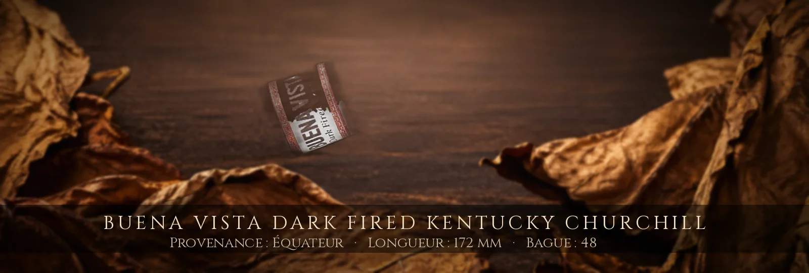 Buena Vista Dark Fired Kentucky Churchill — Buena Vista — Équateur