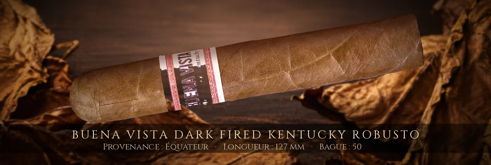 Buena Vista Dark Fired Kentucky Robusto — Buena Vista — Équateur