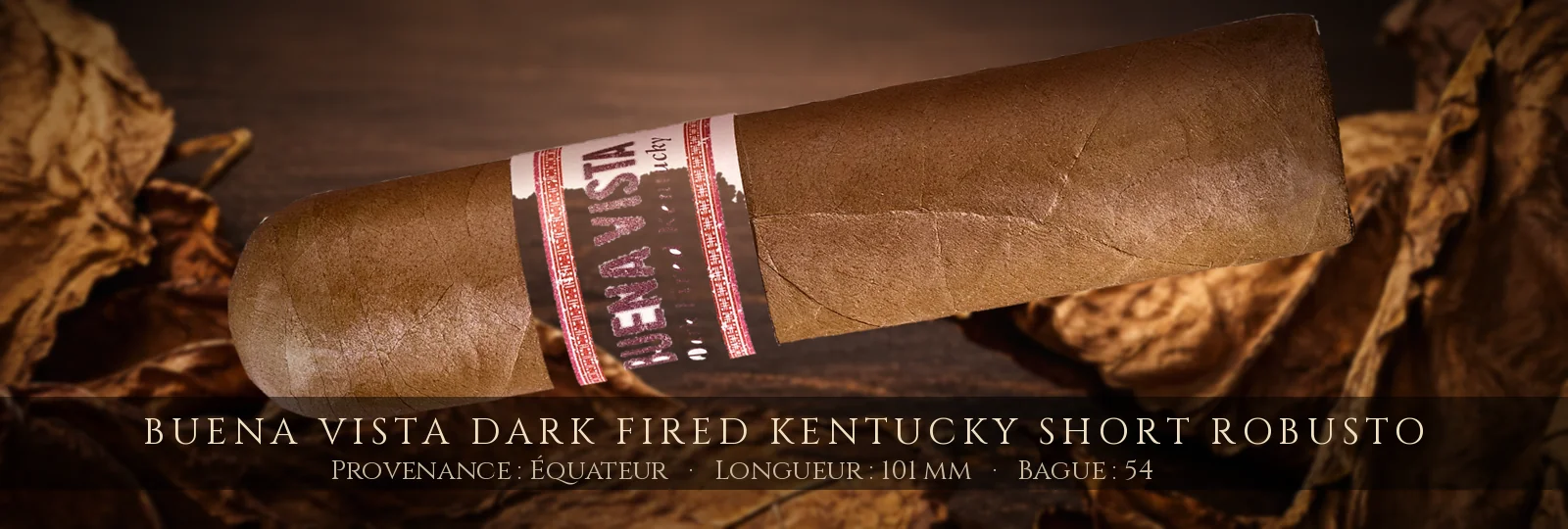 Buena Vista Dark Fired Kentucky Short Robusto — Buena Vista — Équateur