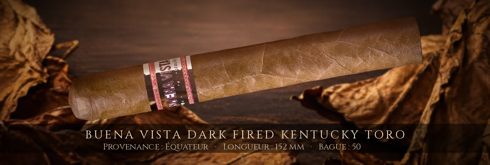 Buena Vista Dark Fired Kentucky Toro