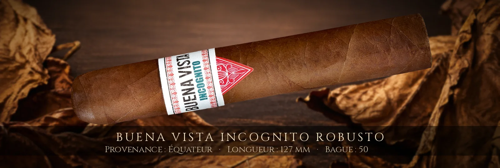 Buena Vista Incognito Robusto — Buena Vista — Équateur