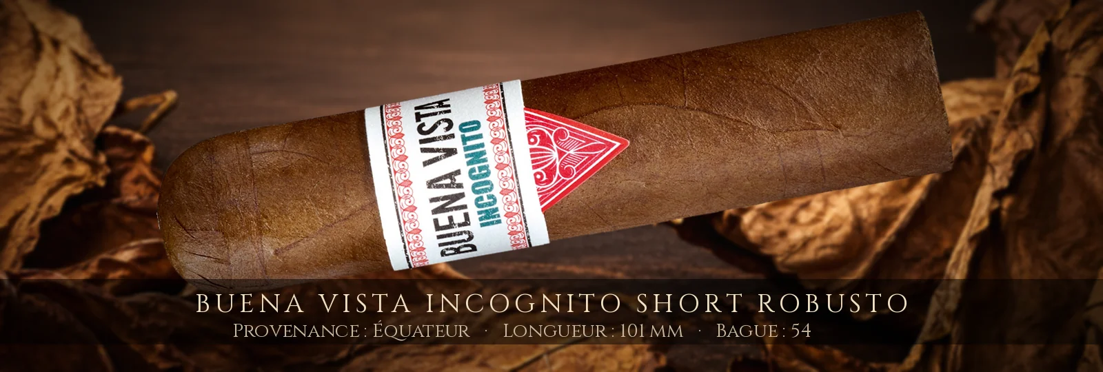 Buena Vista Incognito Short Robusto — Buena Vista — Équateur