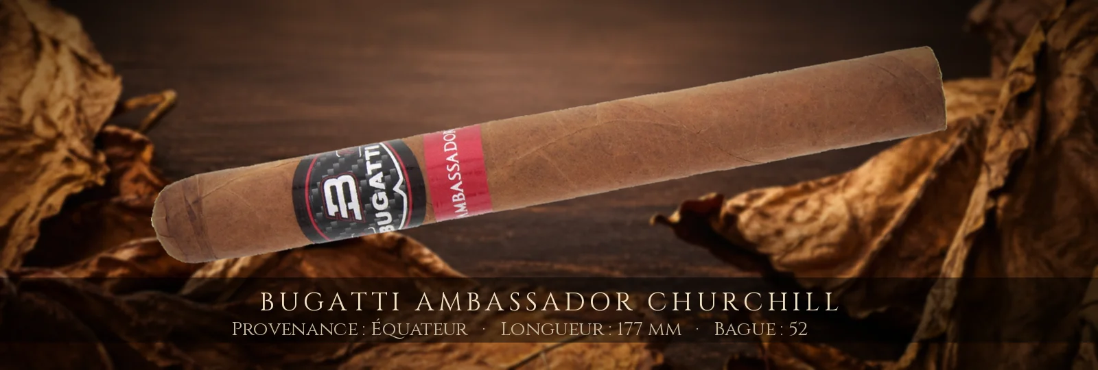Bugatti Ambassador Churchill — Bugatti — Équateur