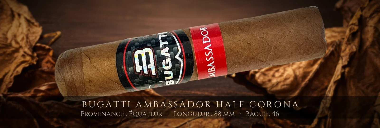 Bugatti Ambassador Half Corona — Bugatti — Équateur