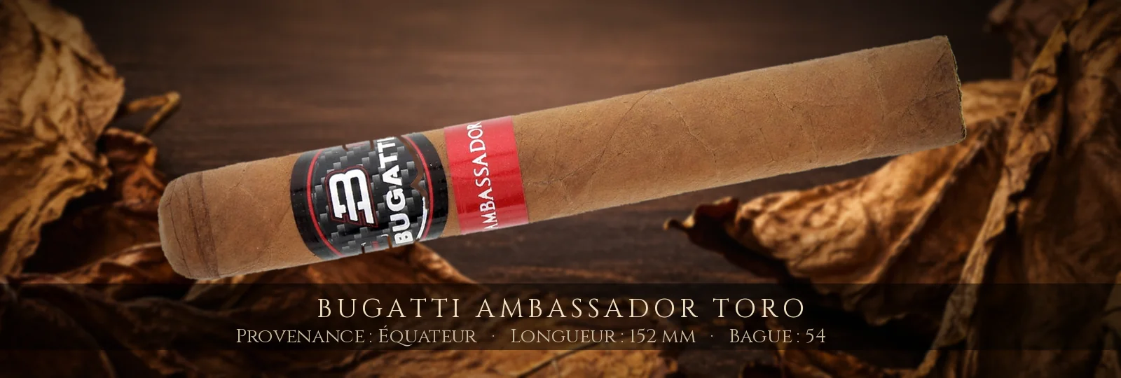 Bugatti Ambassador Toro — Bugatti — Équateur