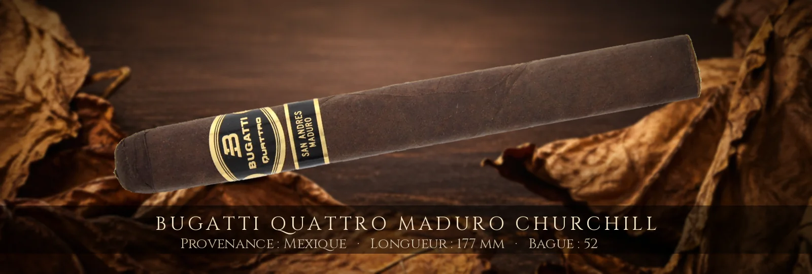 Bugatti Quattro MADURO Churchill — Bugatti — Mexique