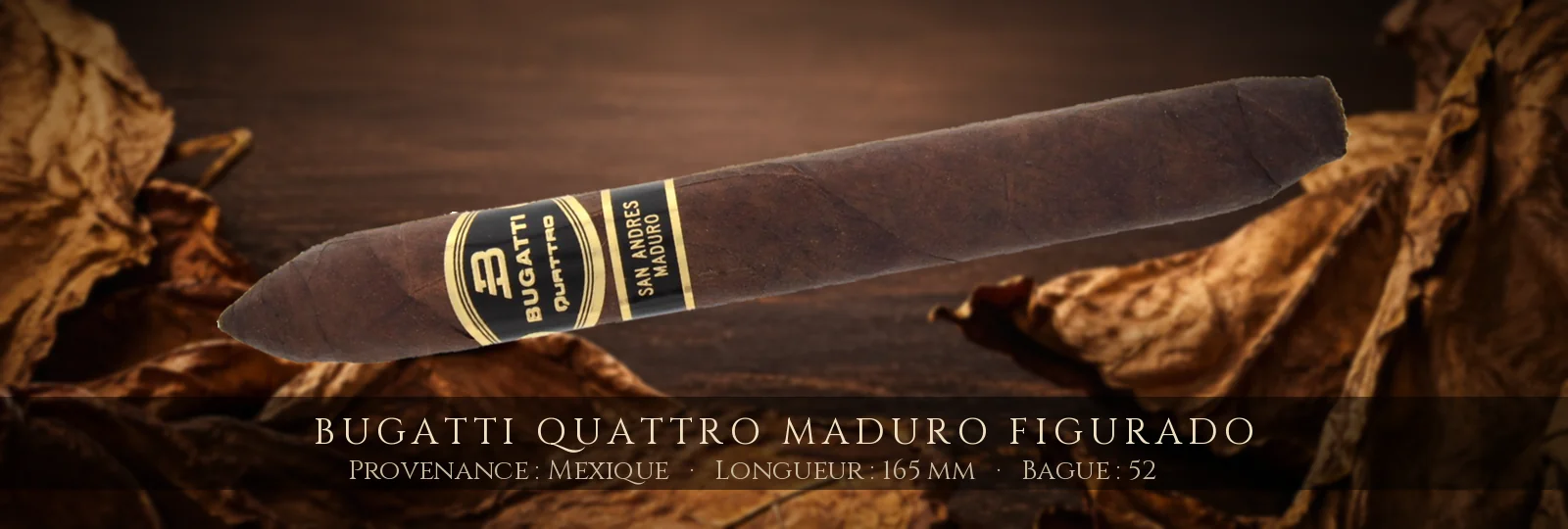 Bugatti Quattro MADURO Figurado — Bugatti — Mexique