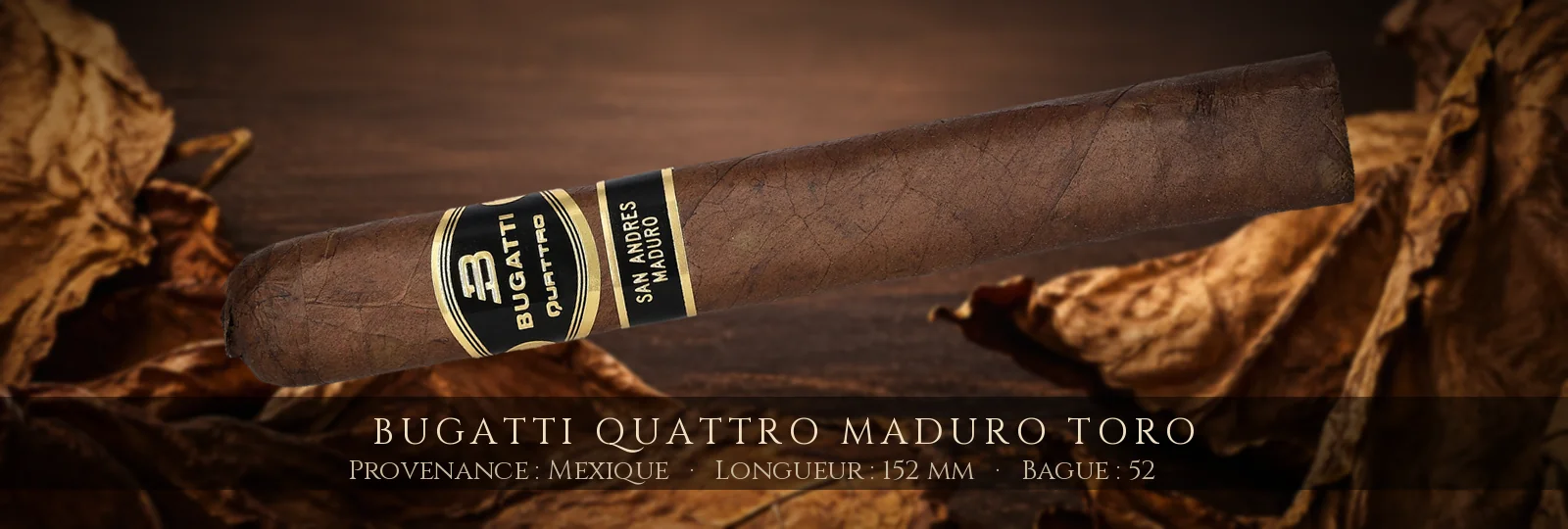 Bugatti Quattro MADURO Toro — Bugatti — Mexique