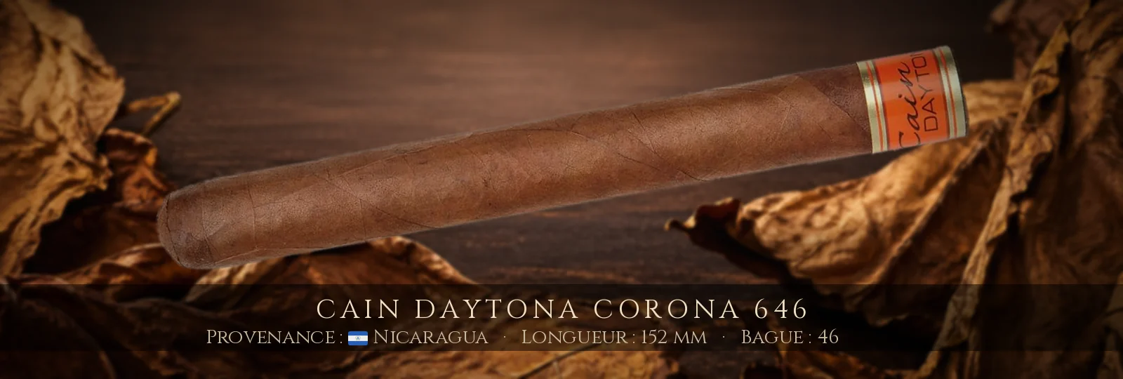 Cain Daytona Corona 646 — Cain — Nicaragua