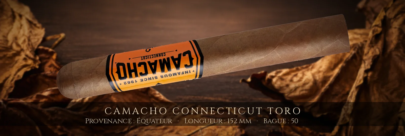 Camacho Connecticut Toro — Camacho — Équateur