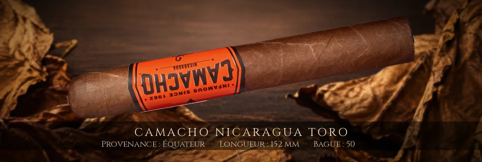Camacho Nicaragua Toro — Camacho — Équateur