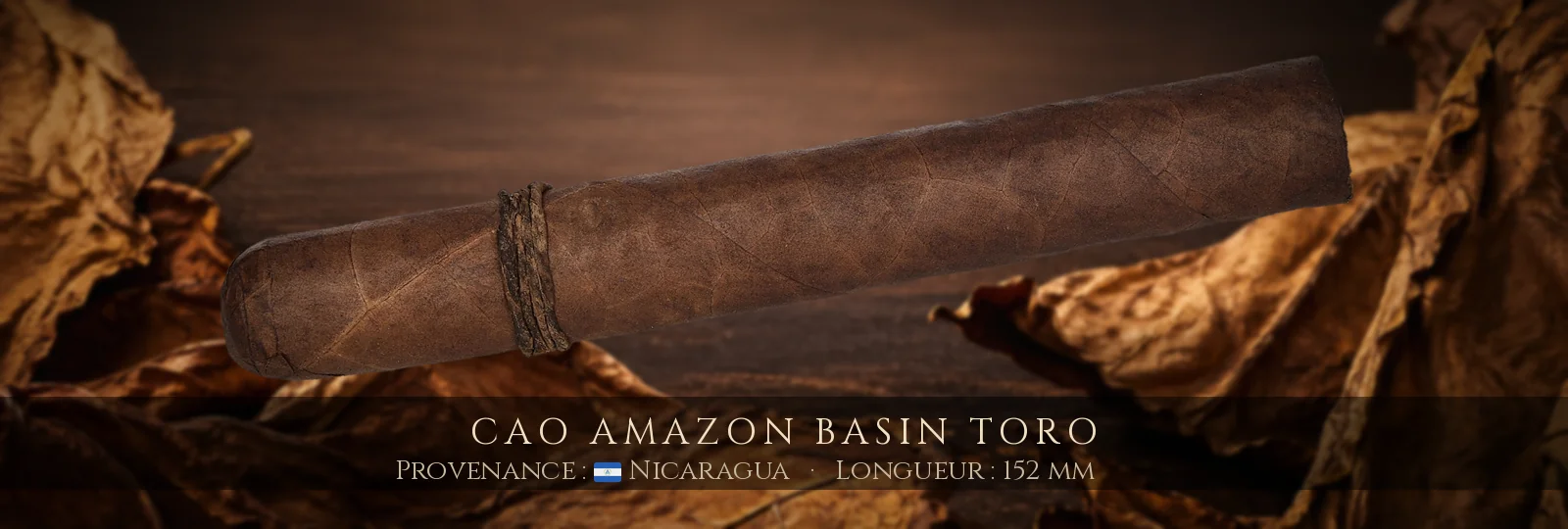 CAO Amazon Basin Toro