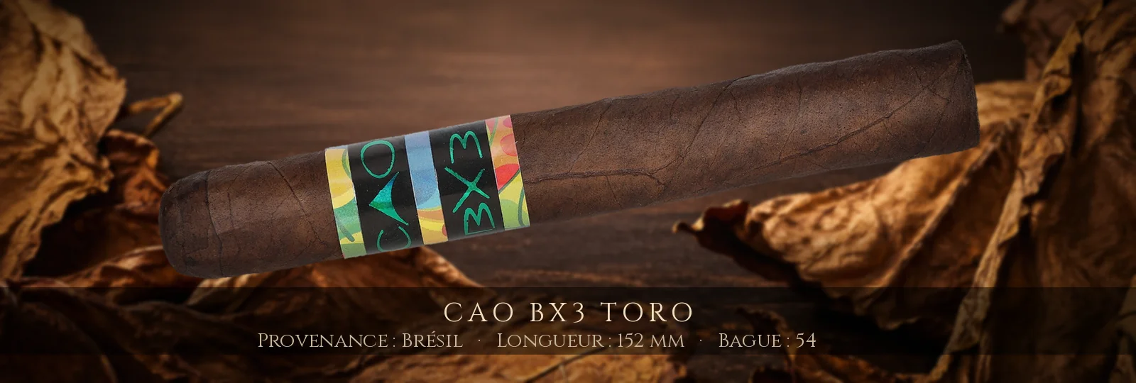 CAO BX3 Toro — CAO — Brésil
