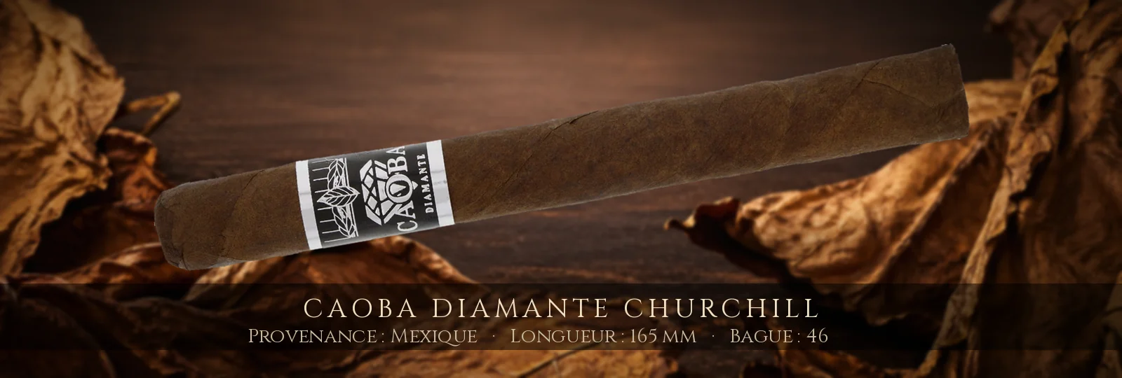 Caoba Diamante Churchill — Caoba — Mexique