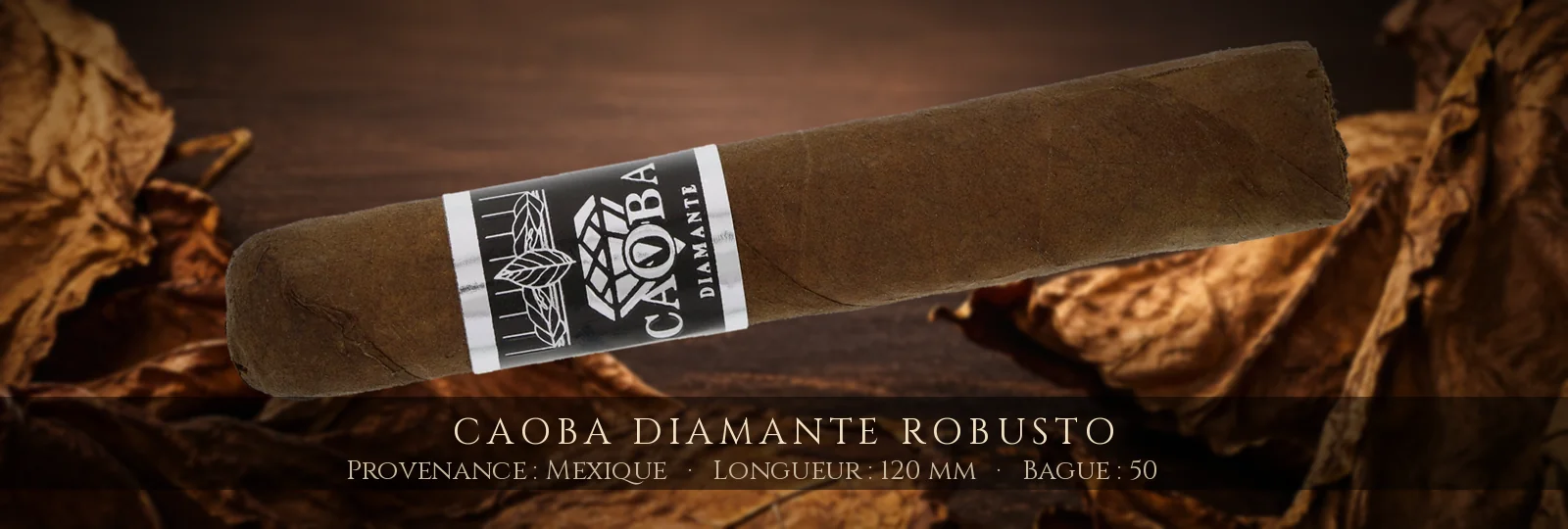 Caoba Diamante Robusto — Caoba — Mexique
