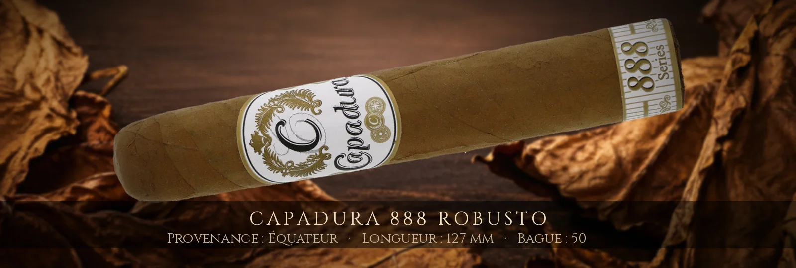 Capadura 888 Robusto — Capadura — Équateur