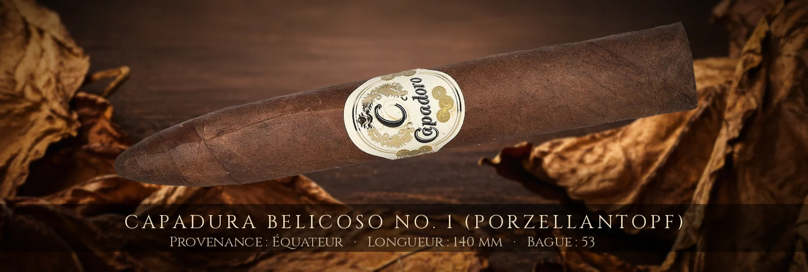 Capadura Belicoso No. 1 (Porzellantopf) — Capadura — Équateur