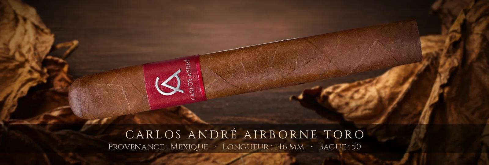 Carlos André Airborne Toro — Carlos André — Mexique