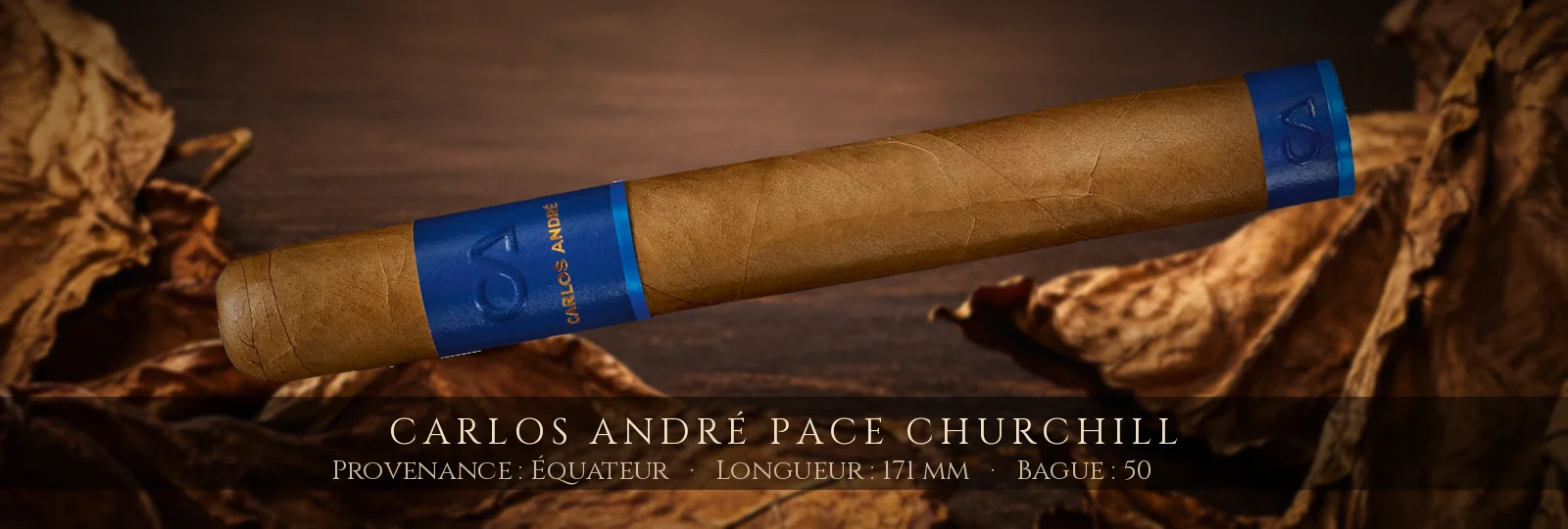 Carlos André Pace Churchill — Carlos André — Équateur