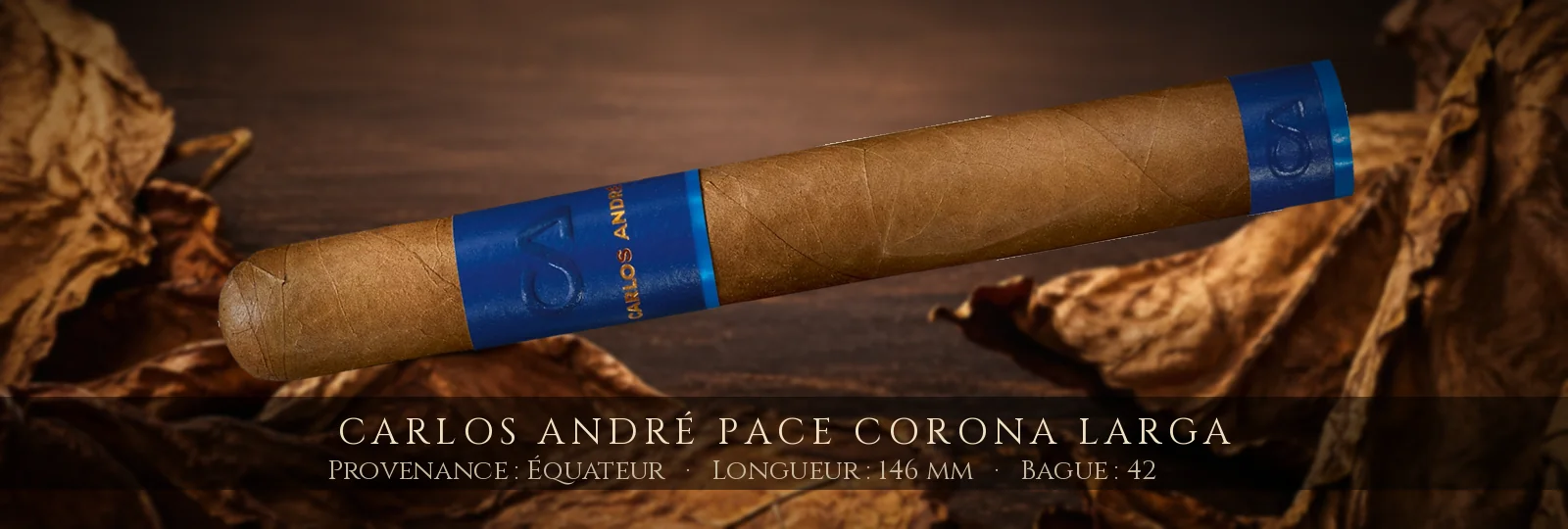 Carlos André Pace Corona Larga — Carlos André — Équateur