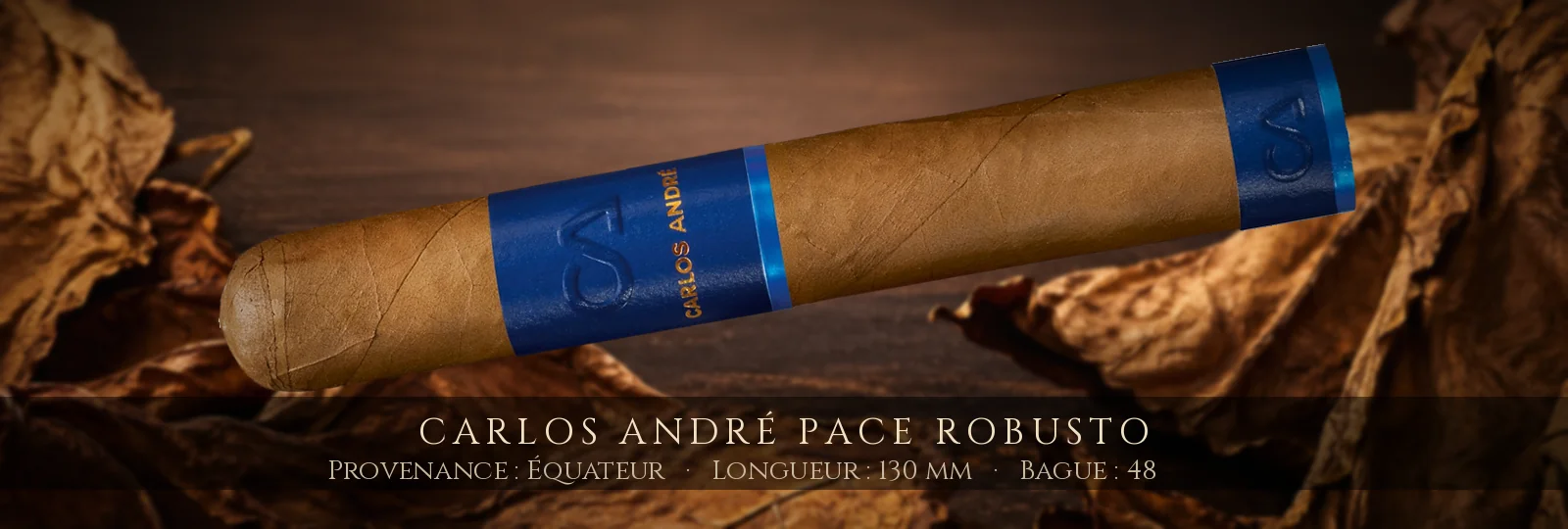 Carlos André Pace Robusto — Carlos André — Équateur