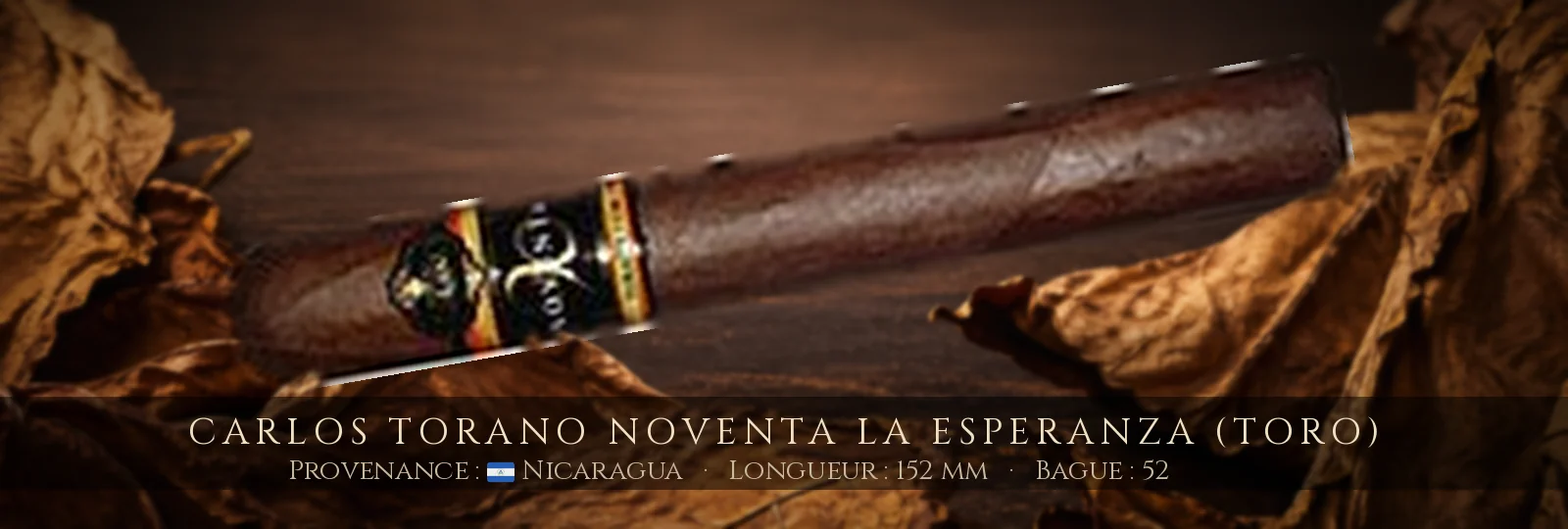 Carlos Torano Noventa La Esperanza (Toro) — Carlos Torano — Nicaragua
