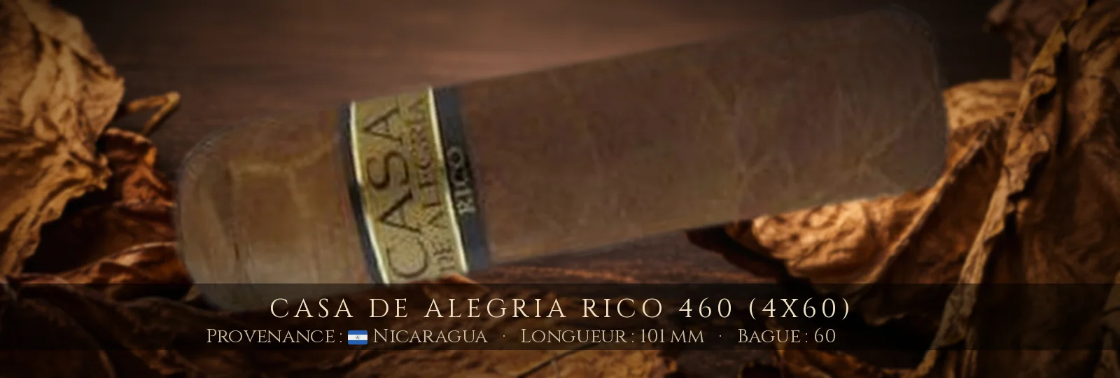 Casa de Alegria Rico 460 (4x60) — Casa de Alegria — Nicaragua