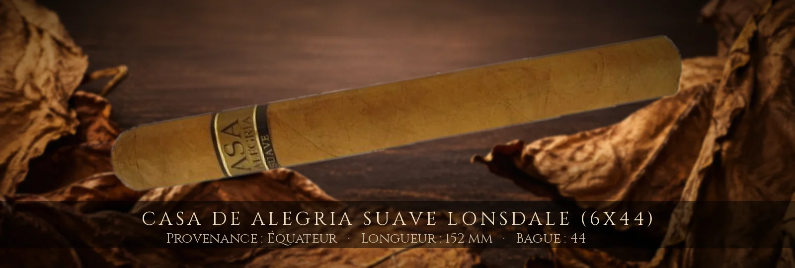 Casa de Alegria Suave Lonsdale (6x44) — Casa de Alegria — Équateur