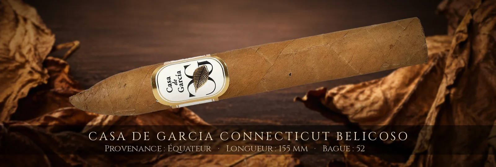 Casa de Garcia Connecticut Belicoso — Casa de Garcia — Équateur