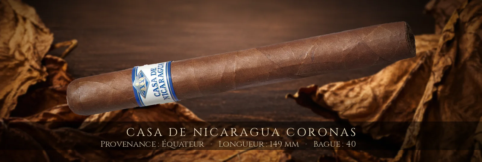 Casa de Nicaragua Coronas