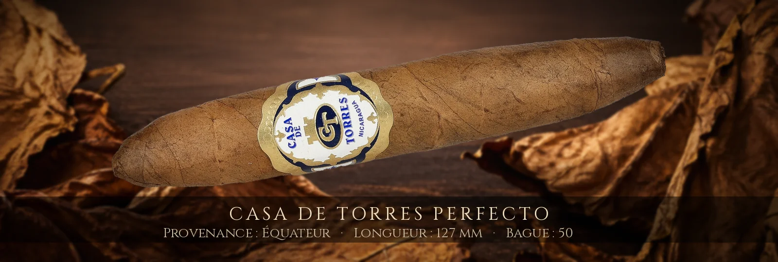 Casa de Torres Perfecto