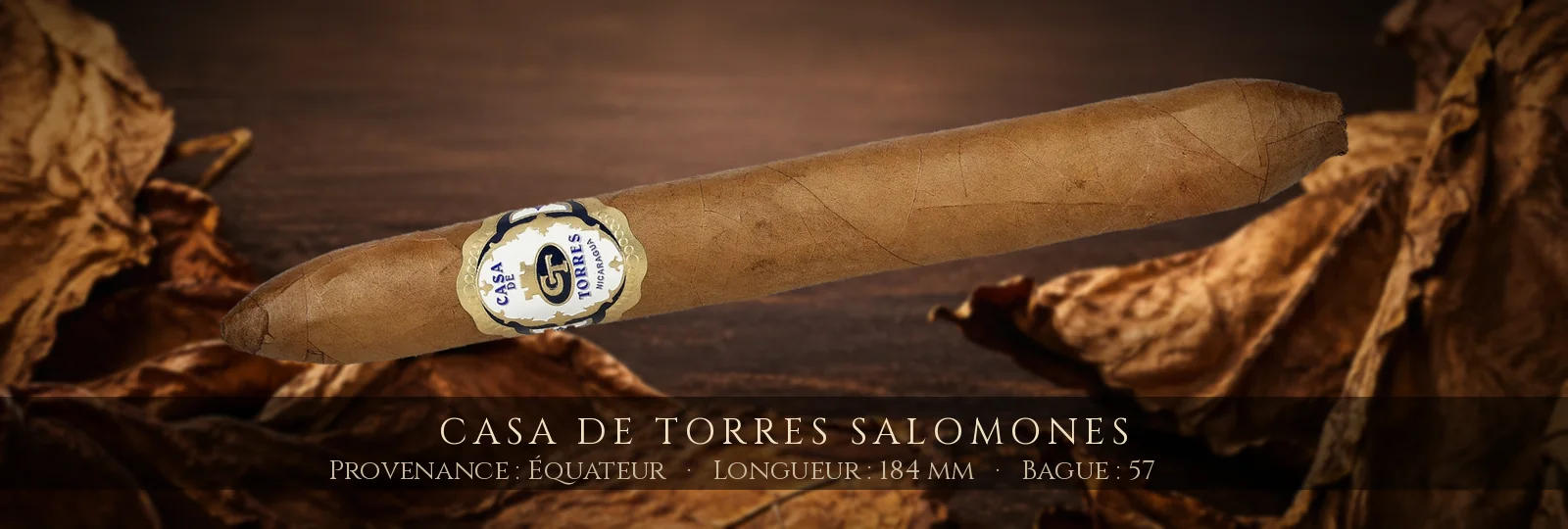 Casa de Torres Salomones