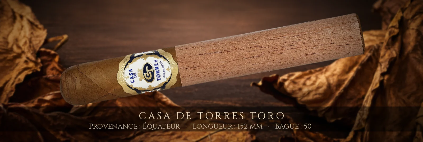 Casa de Torres Toro — Casa de Torres — Équateur