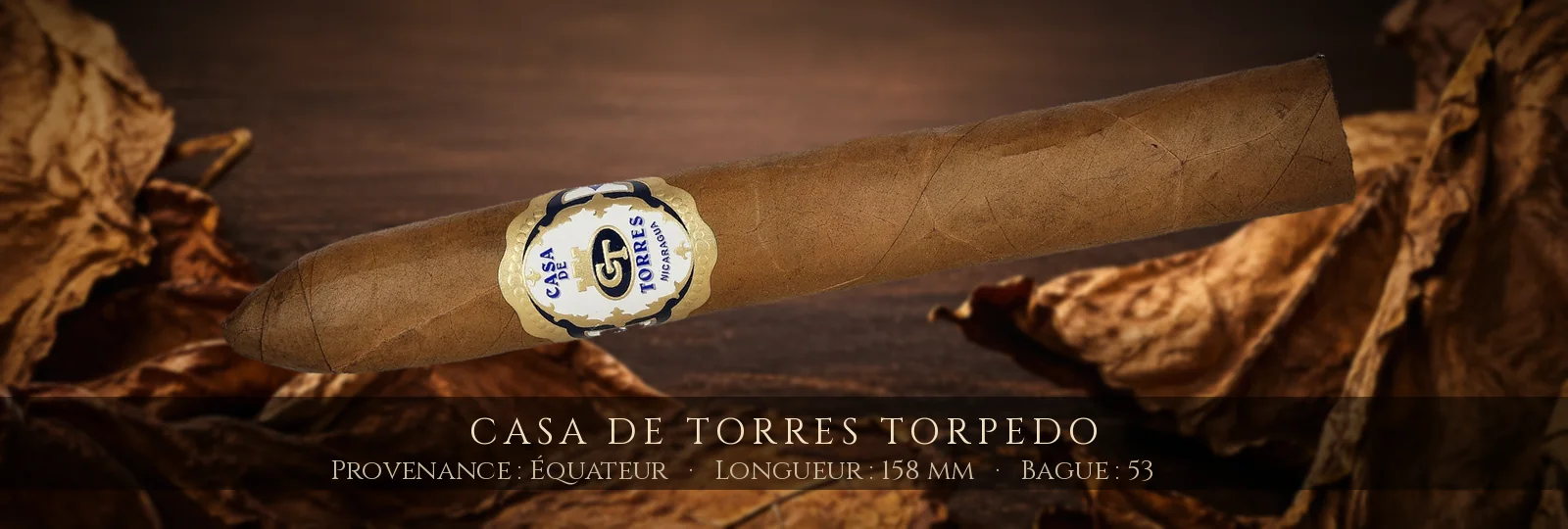 Casa de Torres Torpedo