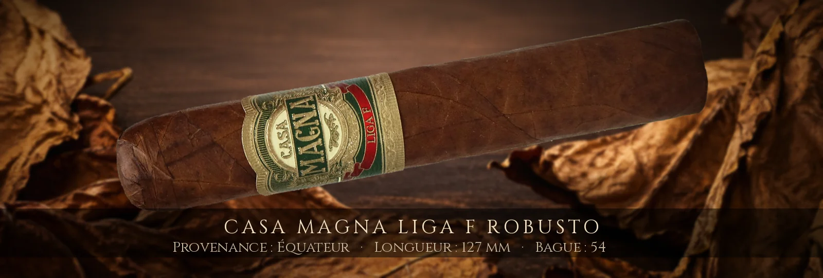 Casa Magna Liga F Robusto — Casa Magna — Équateur