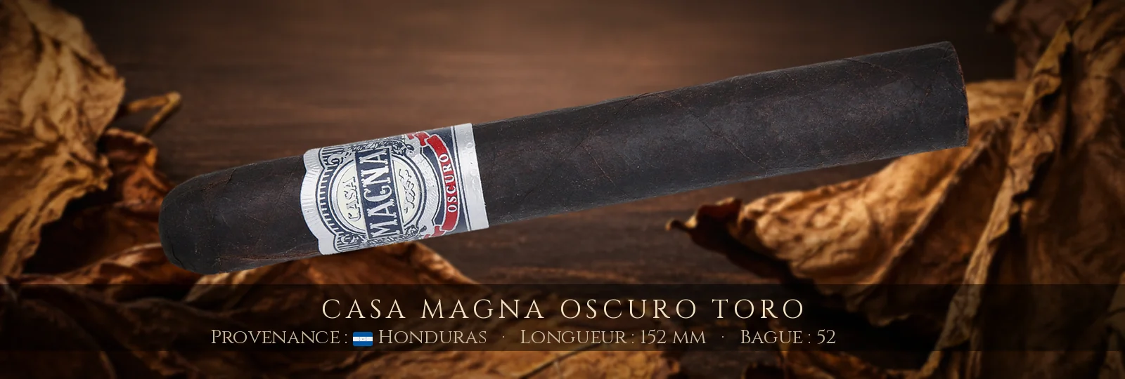 Casa Magna Oscuro Toro