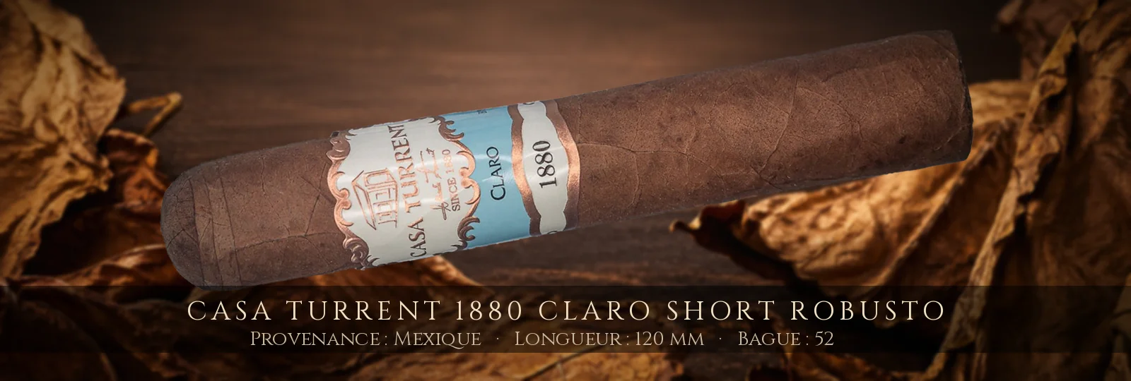 Casa Turrent 1880 Claro Short Robusto — Casa Turrent — Mexique