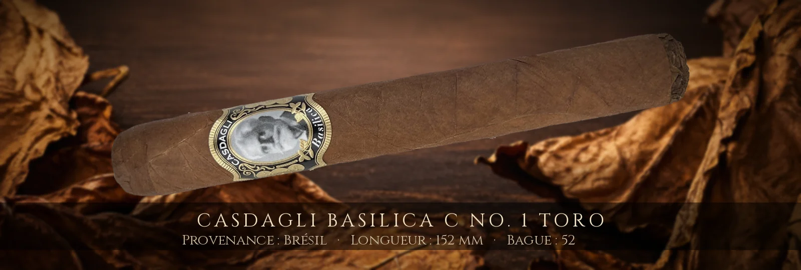 Casdagli Basilica C No. 1 Toro — Casdagli — Brésil