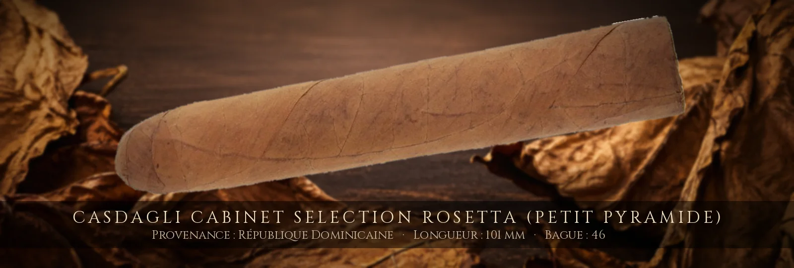 Casdagli Cabinet Selection Rosetta (Petit Pyramide) — Casdagli — République Dominicaine