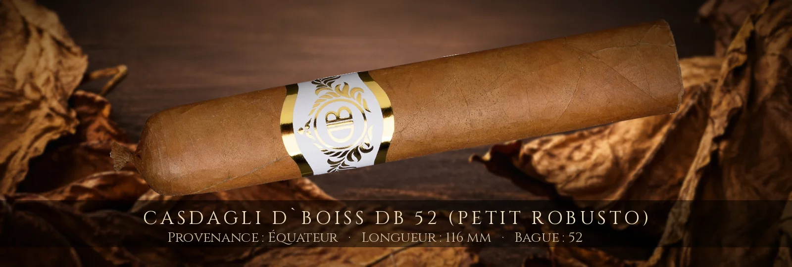 Casdagli D`Boiss DB 52 (Petit Robusto) — Casdagli — Équateur