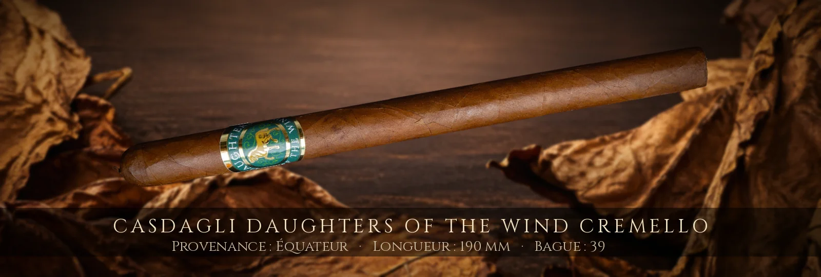 Casdagli Daughters of the Wind Cremello — Casdagli — Équateur