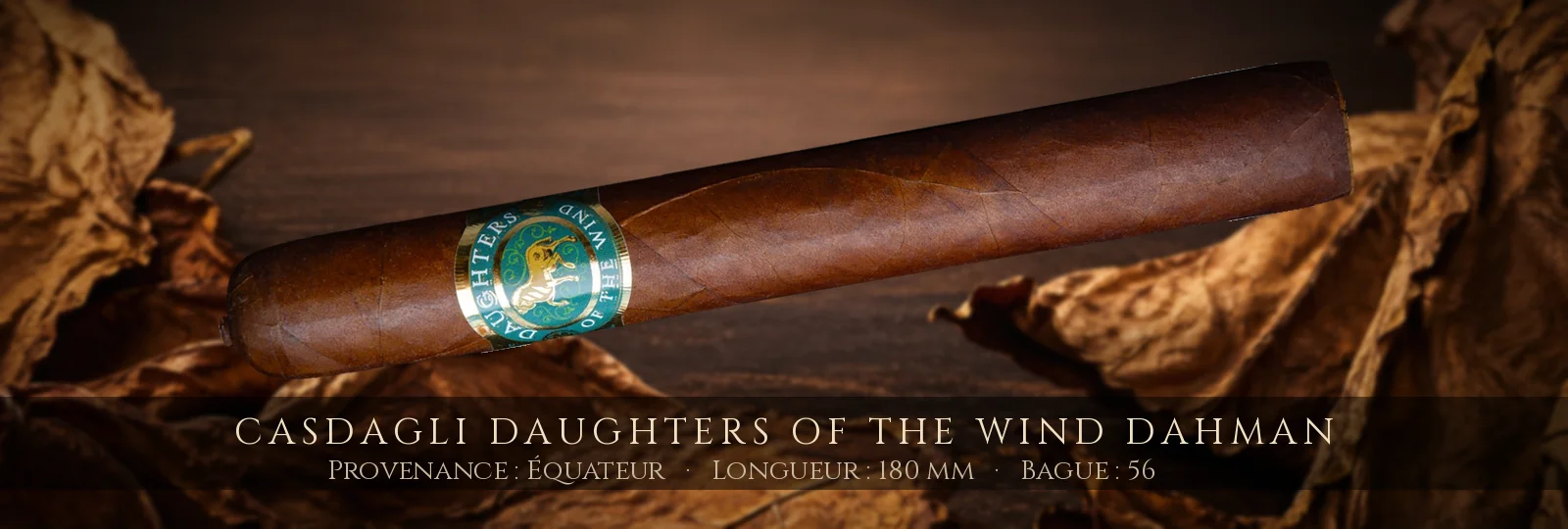 Casdagli Daughters of the Wind Dahman — Casdagli — Équateur