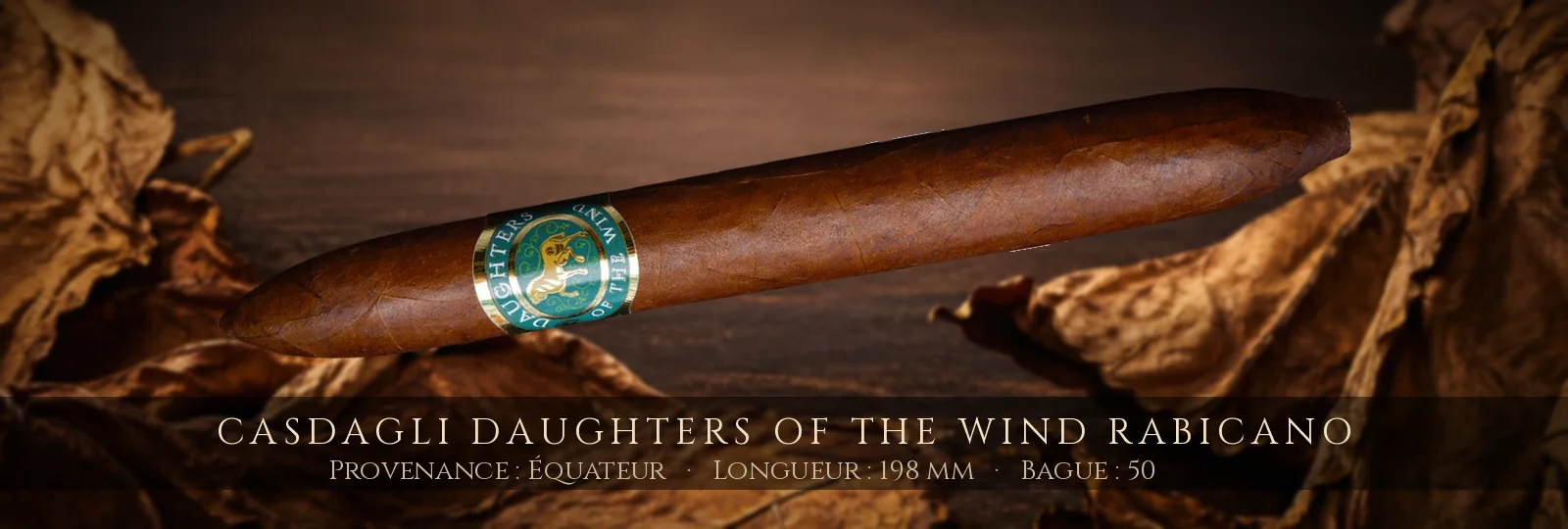 Casdagli Daughters of the Wind Rabicano — Casdagli — Équateur