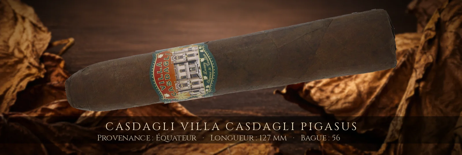 Casdagli Villa Casdagli Pigasus — Casdagli — Équateur