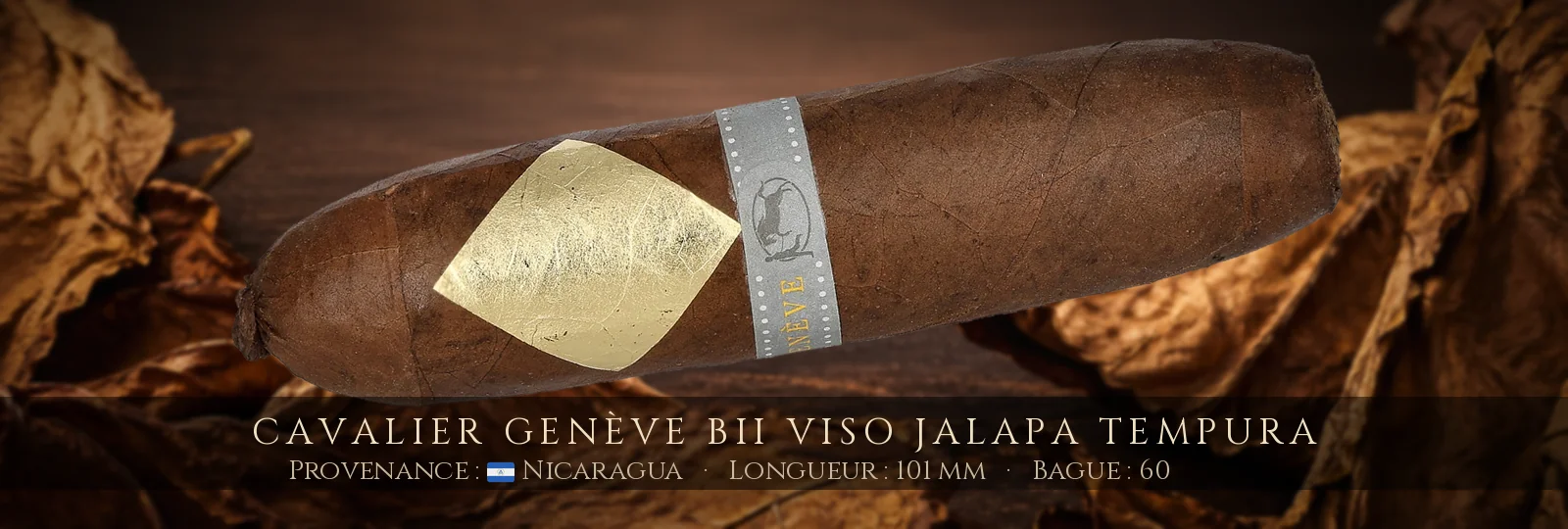 Cavalier Genève BII Viso Jalapa Tempura — Cavalier Genève — Nicaragua