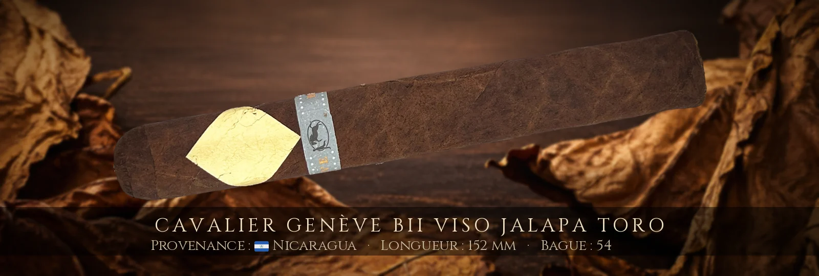 Cavalier Genève BII Viso Jalapa Toro — Cavalier Genève — Nicaragua