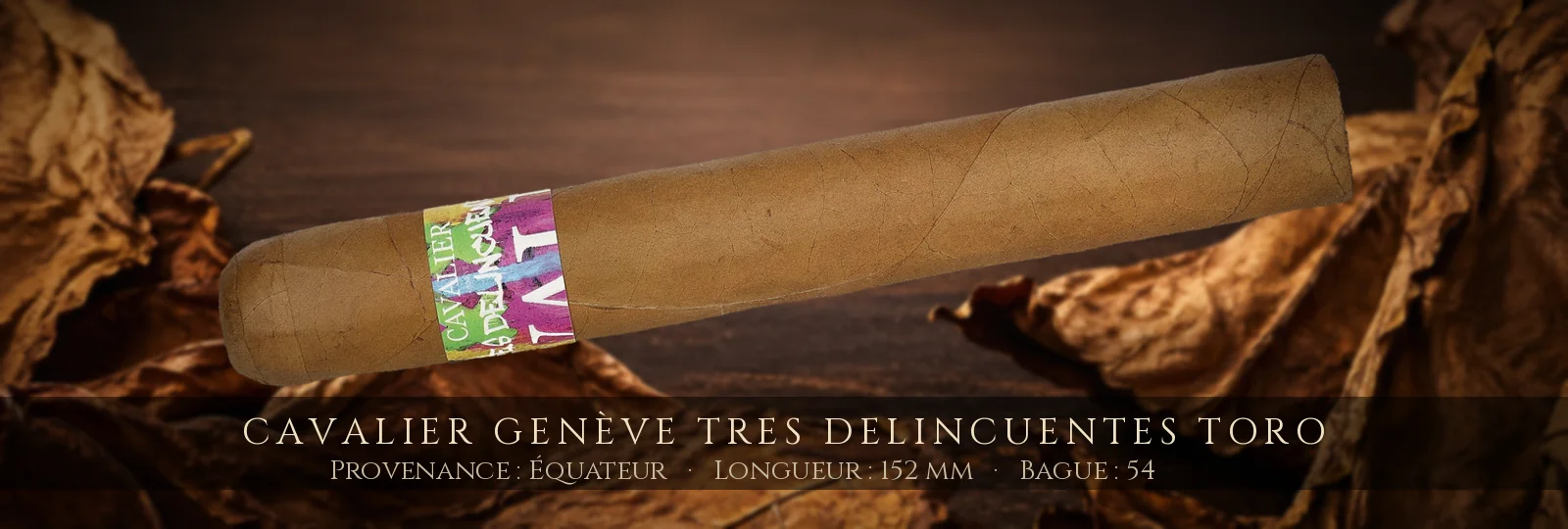 Cavalier Genève Tres Delincuentes Toro — Cavalier Genève — Équateur