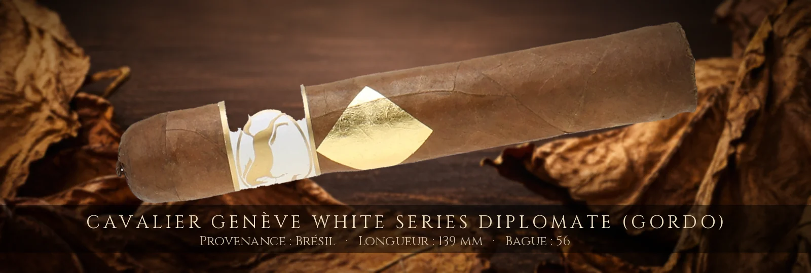 Cavalier Genève White Series Diplomate (Gordo)